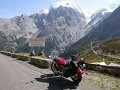 Ortler 2